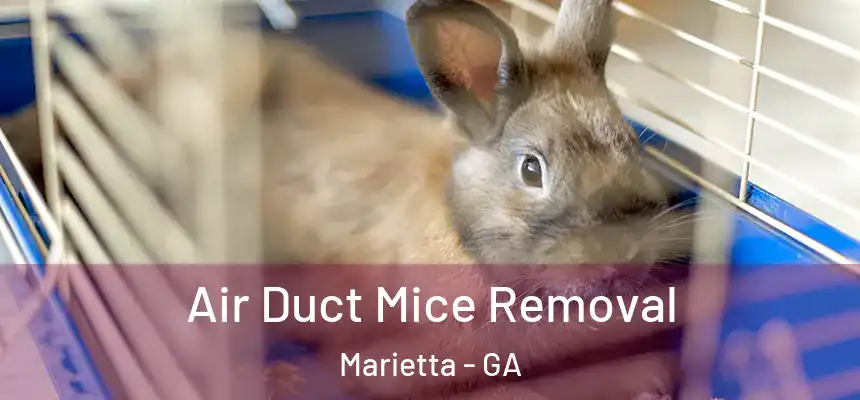 Air Duct Mice Removal Marietta - GA