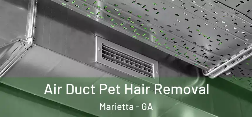  Air Duct Pet Hair Removal Marietta - GA