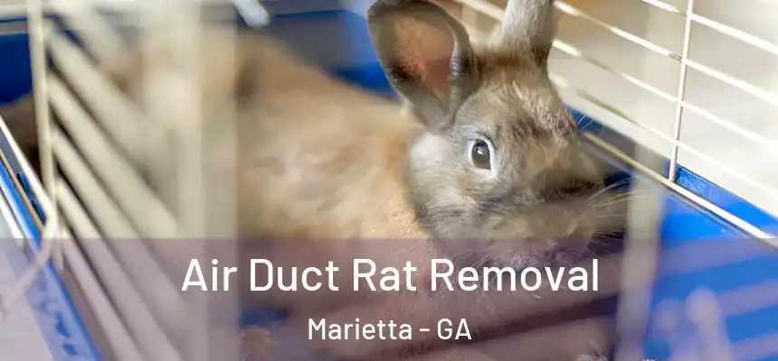 Air Duct Rat Removal Marietta - GA