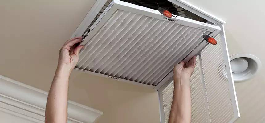 Preventive Cockroach-Proofing for Ducts in Marietta