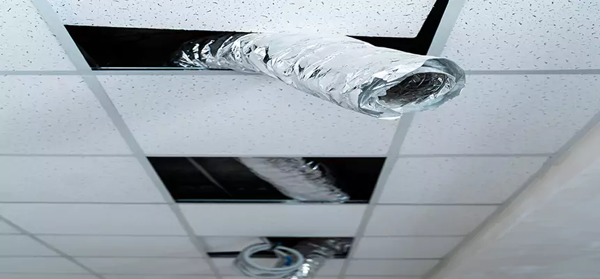 Affordable HVAC Sanitizing After Pest Removal in Marietta