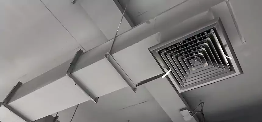 Our Rodent Droppings In Vents Services in Marietta, GA