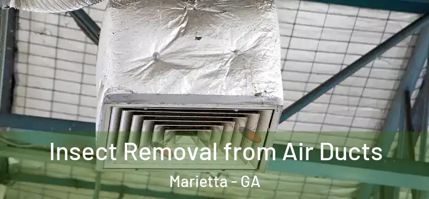 Insect Removal from Air Ducts Marietta - GA