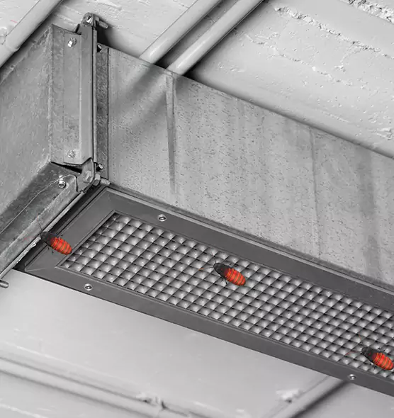 About Air Duct Cockroach Removal in Marietta, GA