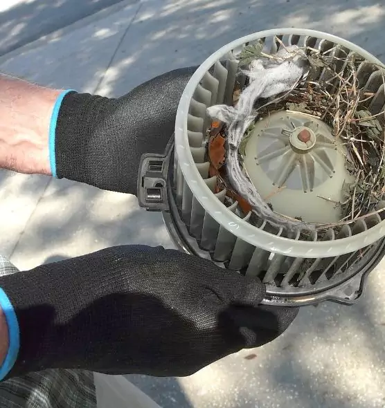 About Air Duct Rat Removal in Marietta, GA