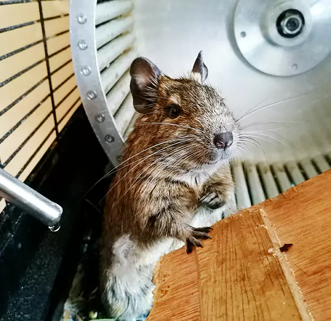 Why Homeowners & Businesses Trust Us Marietta, GA?