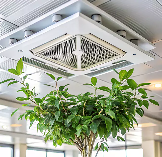 Why Homeowners & Businesses Trust Us in Marietta, GA?